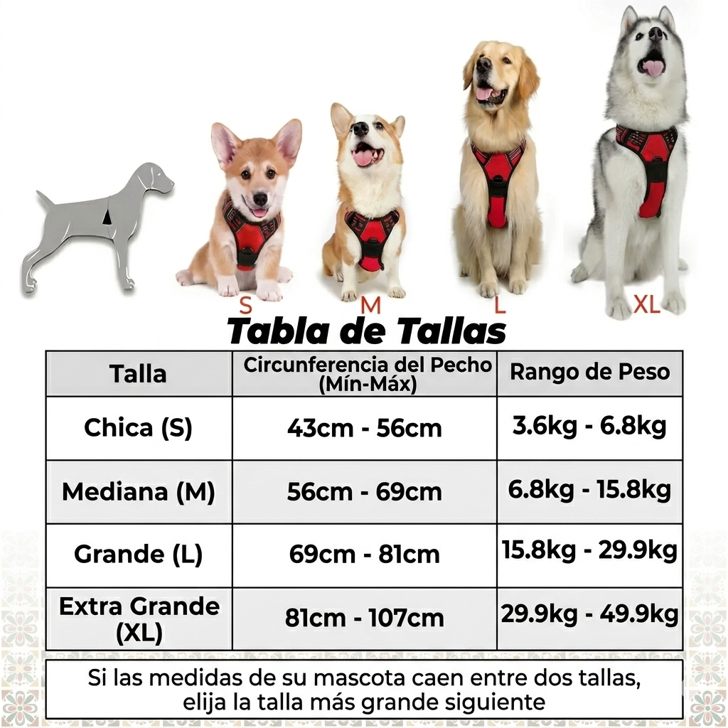 Arnés de Control para Perros | Paseos sin Jalones
