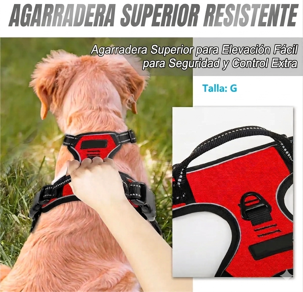 Arnés de Control para Perros | Paseos sin Jalones