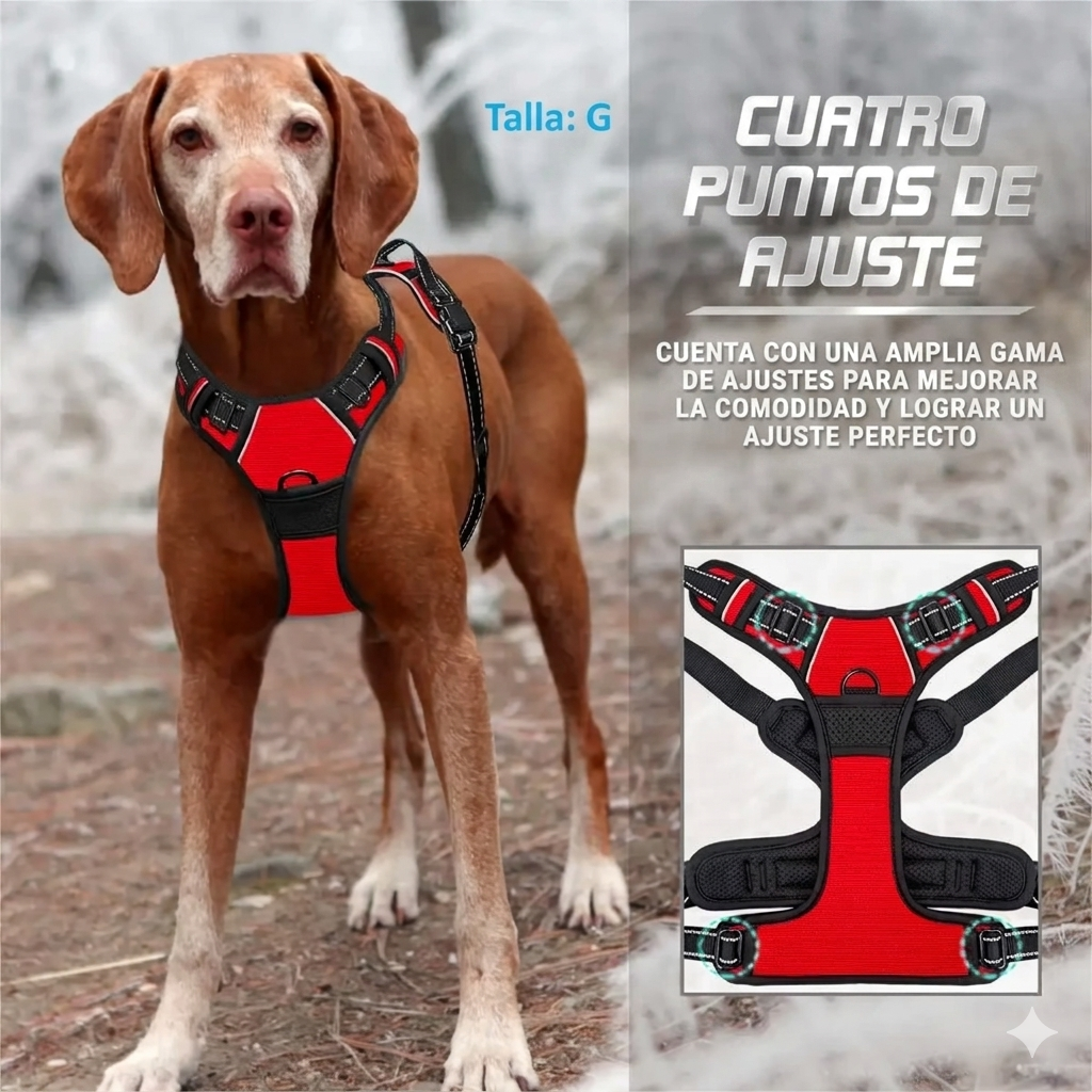 Arnés de Control para Perros | Paseos sin Jalones
